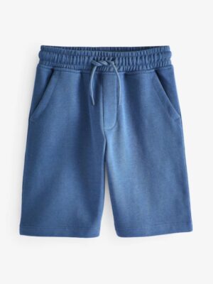 Blue Mid Regular Fit Basic Short