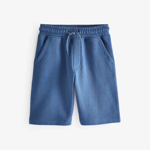 Blue Mid Regular Fit Basic Short