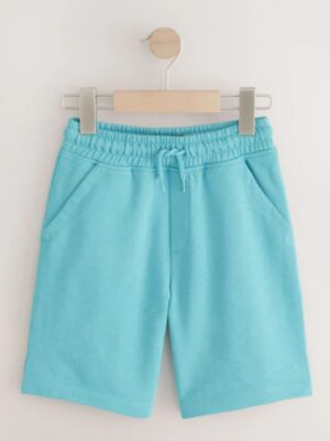 Aqua Blue Regular Fit Basic Shorts (3-16yrs)