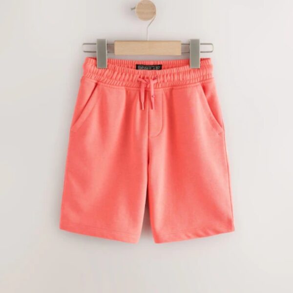 Coral Pink Regular Fit Basic Shorts