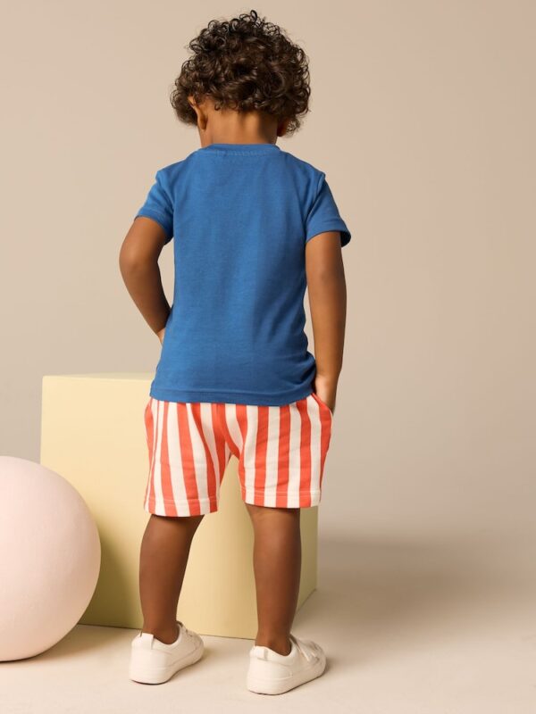 Blue Short Sleeve T-Shirt & Pattern Shorts Set