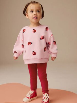 Pink/Red Ladybird Sweatshirt and Leggings Set