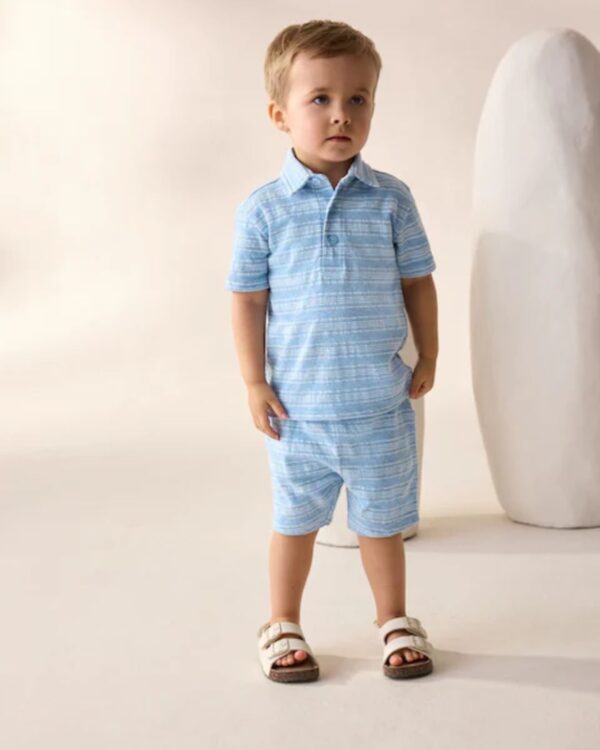 Blue Short Sleeve Polo Shirt And Shorts Set