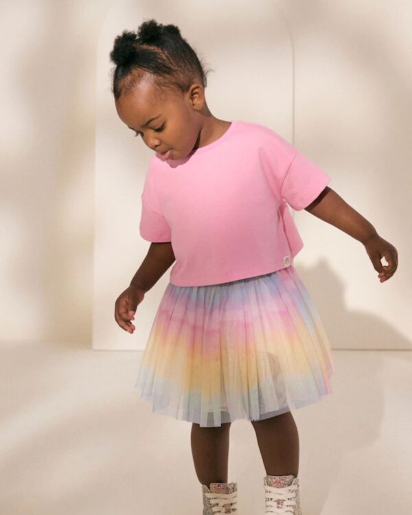 Rainbow/Pink Top and Tutu Skirt Set