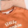 Little Pumpkin Baby Sweatshirt and Leggings Set