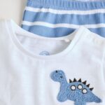 Blue Dino Baby T Shirt and Legging Set