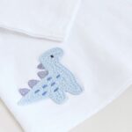 Blue Dino Baby T Shirt and Legging Set