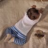 Blue Dino Baby T Shirt and Legging Set