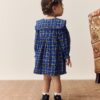 Cobalt Blue Check Long Sleeve Collar Dress