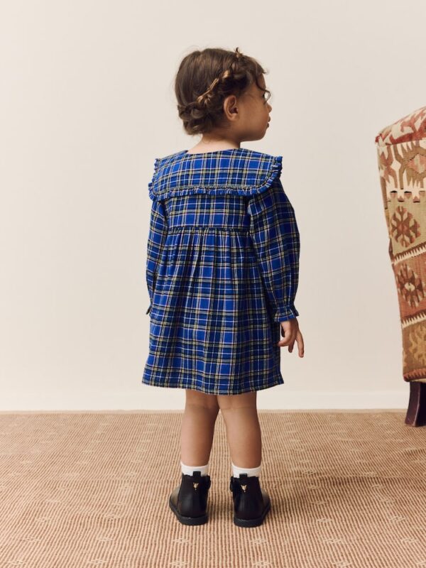 Cobalt Blue Check Long Sleeve Collar Dress