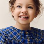 Cobalt Blue Check Long Sleeve Collar Dress