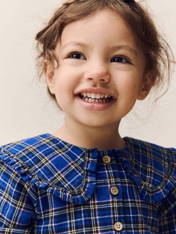 Cobalt Blue Check Long Sleeve Collar Dress