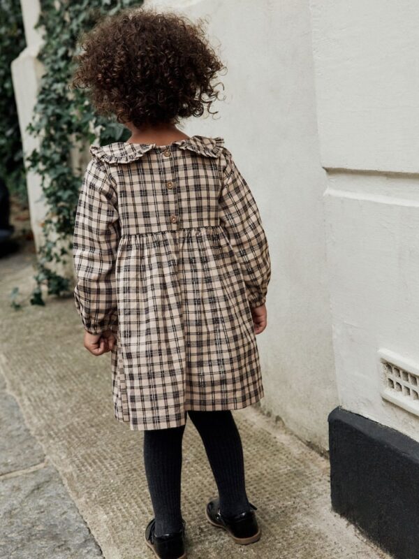 Neutral Check Long Sleeve Collar Dress