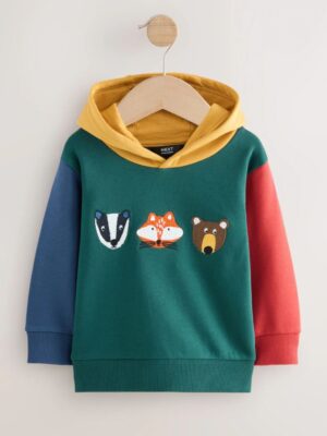 Green Colourblock Long Sleeve Appliqué Hoodie