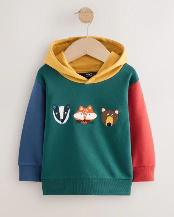 Green Colourblock Long Sleeve Appliqué Hoodie