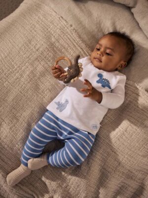 Blue Dino Baby T Shirt and Legging Set