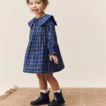 Cobalt Blue Check Long Sleeve Collar Dress