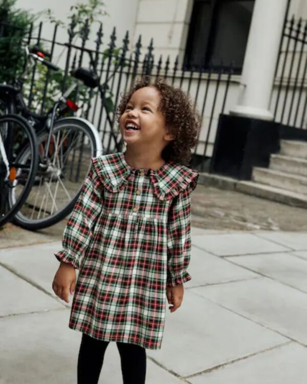 Red/Green Check Long Sleeve Collar Dress