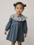 Blue Long Sleeve Collared Dress