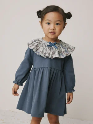 Blue Long Sleeve Collared Dress