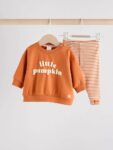 Little Pumpkin Baby Sweatshirt and Leggings Set