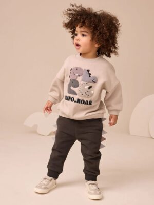 Grey and Charcoal Dinosaur Spike Single Sweatshirt and Joggers Set