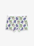 Pink/Blue Lilo And Stitch Shorts Briefs 5 Pack