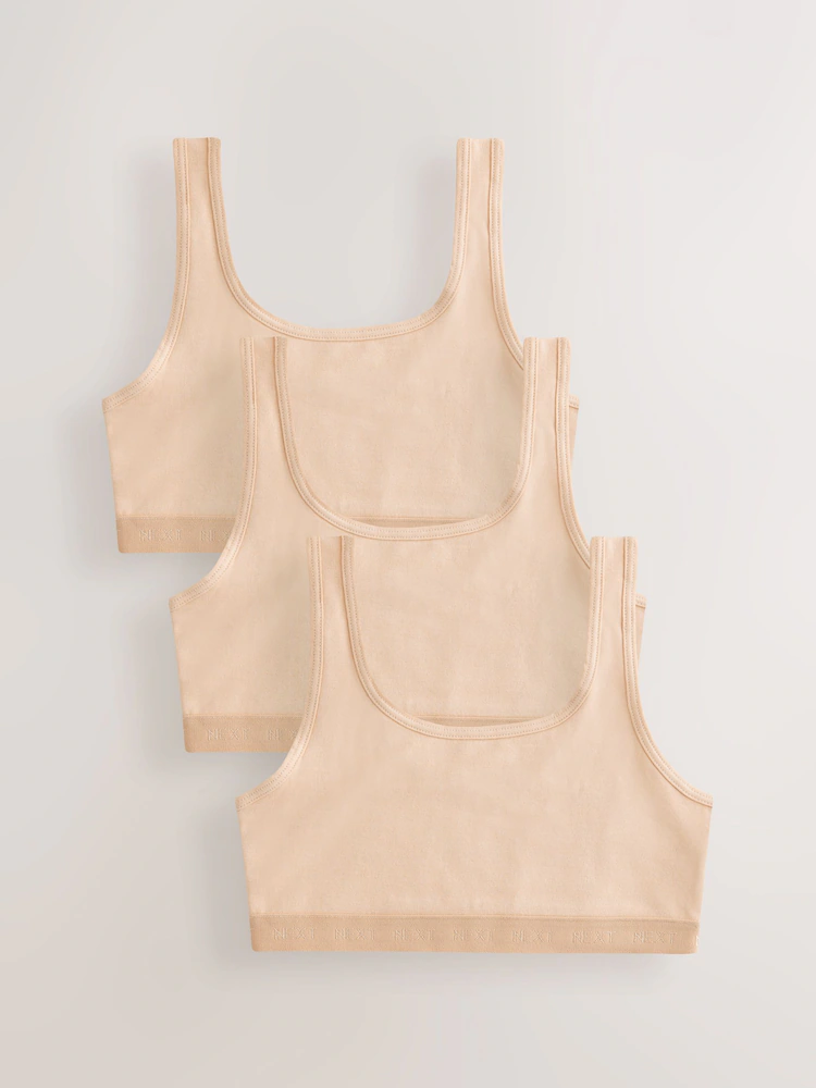 Scoop Crop Tops 3 Pack