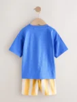 Blue Dinosaur Short Sleeve T-Shirt and Shorts Set