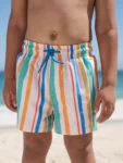 Multi Stripe Printed Swim Shorts