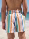 Multi Stripe Printed Swim Shorts