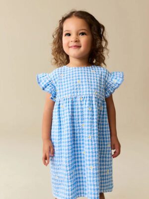 Blue Gingham Ric Rac Frill Sleeve Dress