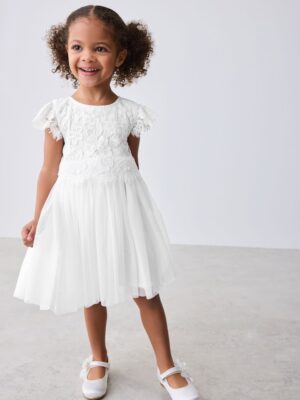 Baker by Ted Baker Lace Mesh Dress