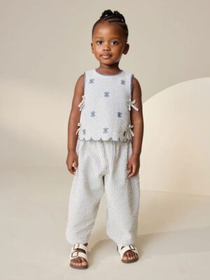 Blue Stripe Blouse and Trousers set