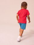 Red/Blue Spider-Man T-Shirt And Shorts Set