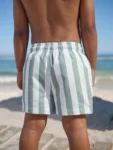 Green and White Stripe Printed Swim Shorts
