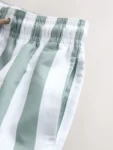 Green and White Stripe Printed Swim Shorts