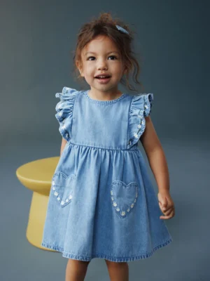 Mid Blue Denim Frill Sleeve Dress