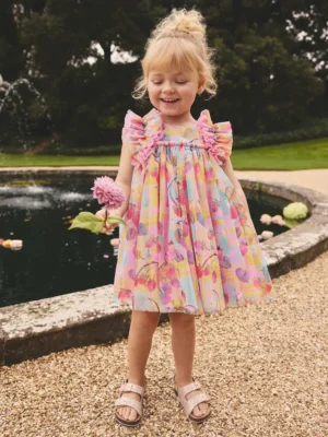 Pink Ruffle Shoulder Mesh Dress