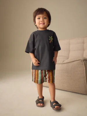 Charcoal Grey Printed Short Sleeve T-Shirt & Linen Blend Shorts Set