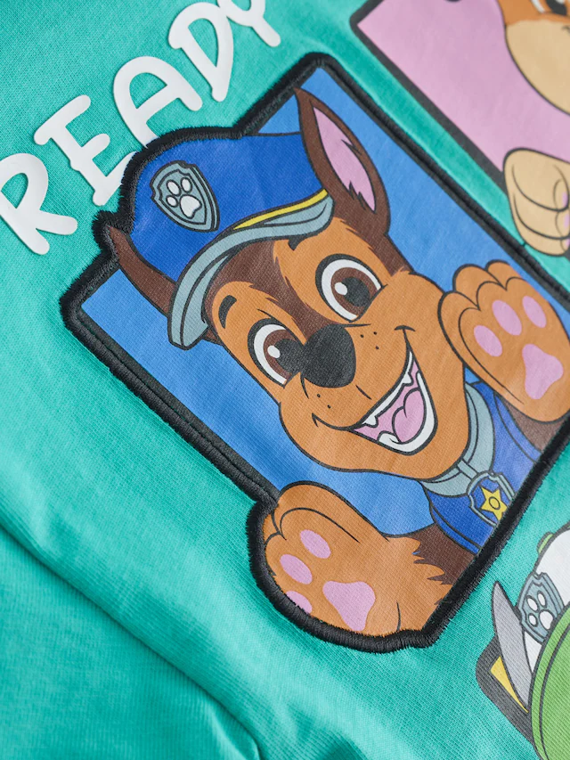 Teal Blue Paw Patrol T-Shirt and Leggings Set