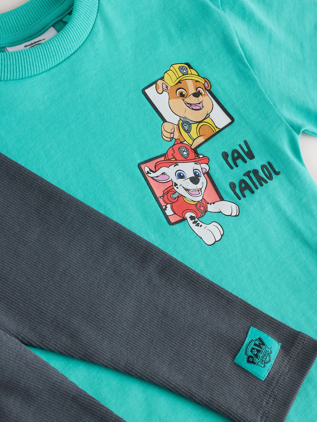 Teal Blue Paw Patrol T-Shirt and Leggings Set
