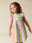 Rainbow Stripe Double Ruffle Sleeve Dress