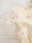 Cream Embroidered Mesh Dress