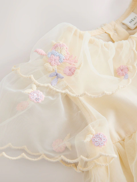 Cream Embroidered Mesh Dress