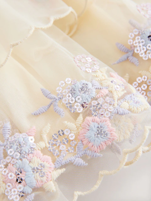 Cream Embroidered Mesh Dress