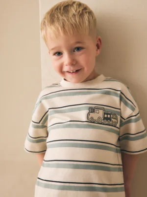 Blue/Ecru Train Short Sleeve Stripe T-Shirt