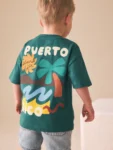 Teal Blue Puerto Rico Short Sleeve Back Print T-Shirt