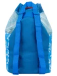 Character Blue Sonic Swim Bag
