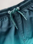 Blue Ombre Swim Shorts